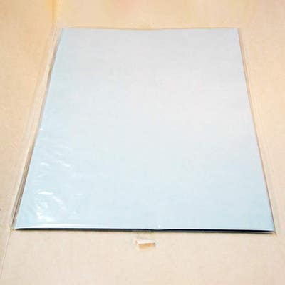 Protran Nitrocellulose Hybridization Transfer Membrane, 0.2 µm, 5 Sheets, 33 cm x 56 cm