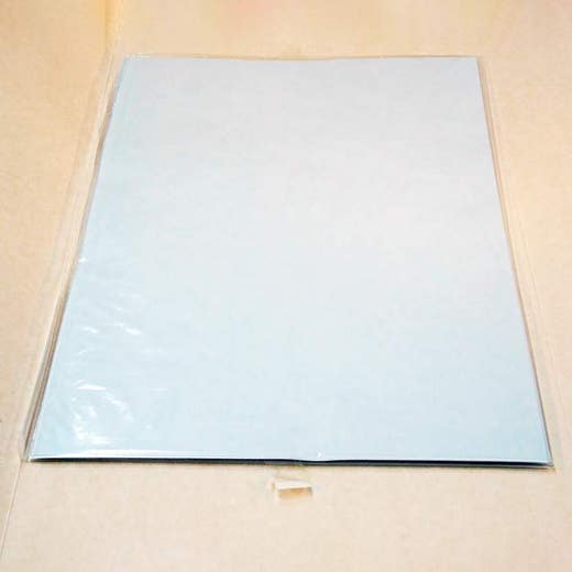 Protran Nitrocellulose Hybridization Transfer Membrane, 0.2 µm, 5 Sheets, 33 cm x 56 cm