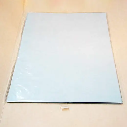Protran Nitrocellulose Hybridization Transfer Membrane, 0.2 µm, 5 Sheets, 33 cm x 56 cm