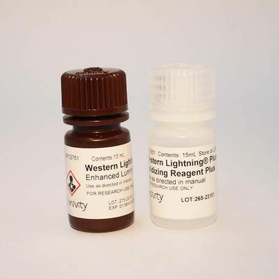 Western Lightning Plus, Chemiluminescent Substrate (30 mL)