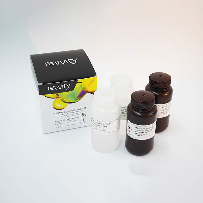 STORE SOL  Luciferin | D-Luciferin Potassium Salt | Revvity
