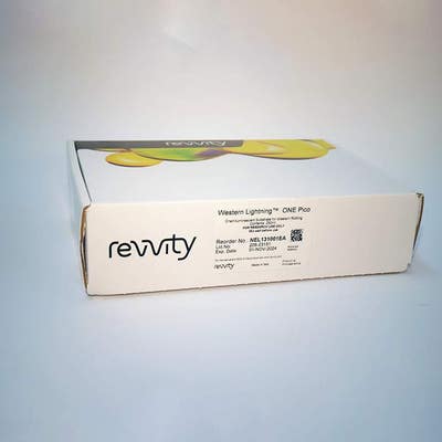 Western Lightning ONE Pico, Chemiluminescent Substrate (250 mL)