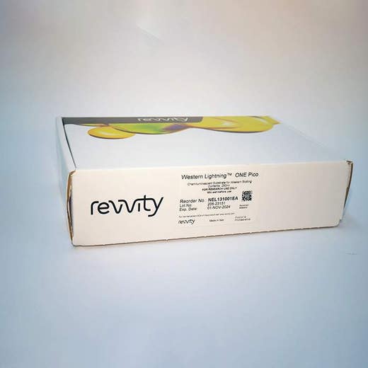 Western Lightning ONE Pico, Chemiluminescent Substrate (250 mL)