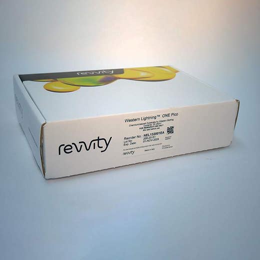 Western Lightning ONE Pico, Chemiluminescent Substrate (500 mL)