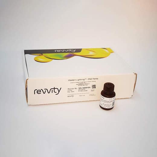 Western Lightning ONE Femto, Chemiluminescent Substrate (25 mL)