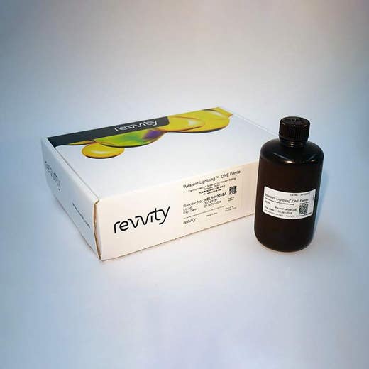 Western Lightning ONE Femto, Chemiluminescent Substrate (250 mL)