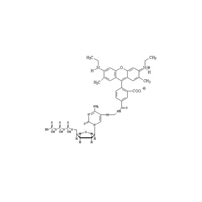 R6G-ddCTP