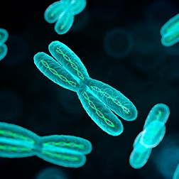 NIPT-reference-standards