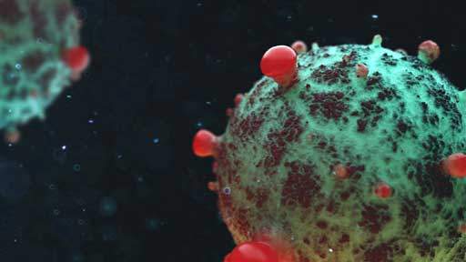 NeutrophilElastase-Viral-Infection-512x288