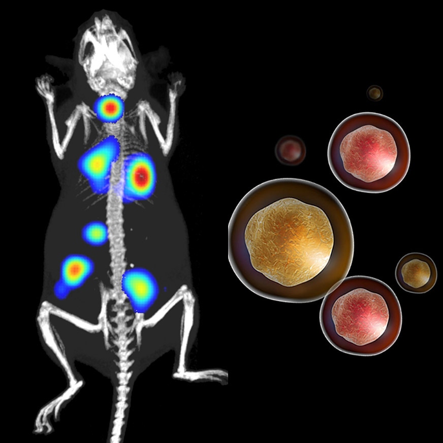 optical imaging hero