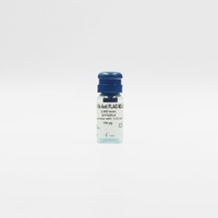 MAb Anti-FLAG M2-d2 image