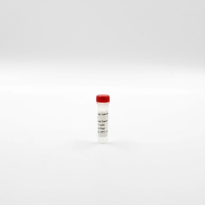 MAb Anti-Histone H3K27 me3 Eu K image
