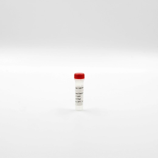 MAb Anti-Histone H3K27 me3 Eu K image