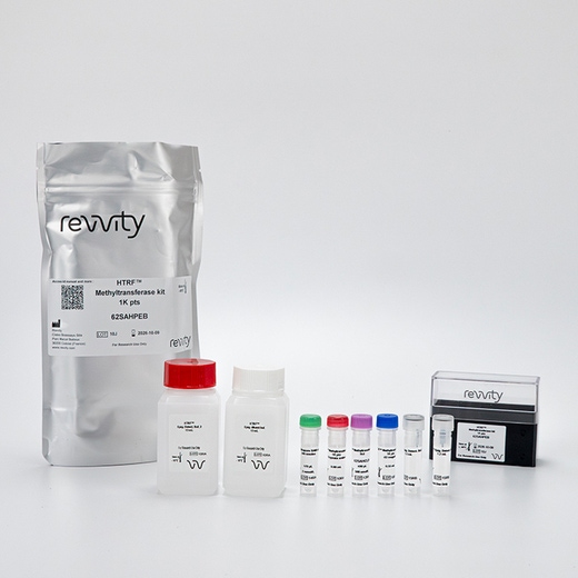 Picture of methyltransferase assay
