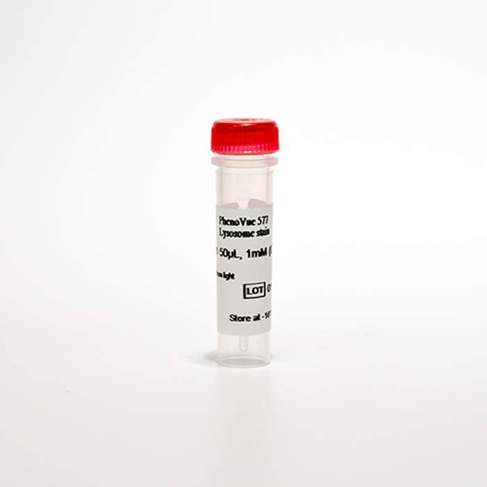 帯付き　Phi Phosphorescence CD PhenoVue 577 Lysosomal stain | Revvity