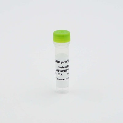 HTRF Human Phospho-FGFR1 (Tyr653/654) Detection Kit, Control Lysate