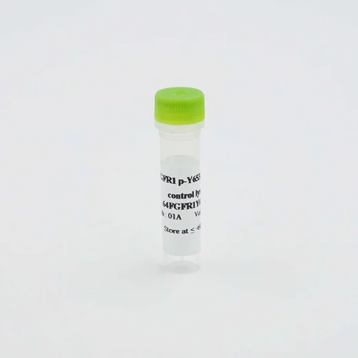 HTRF Human Phospho-FGFR1 (Tyr653/654) Detection Kit, Control Lysate