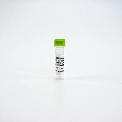 HTRF Human Total ATG14 Detection Kit, Control Lysate