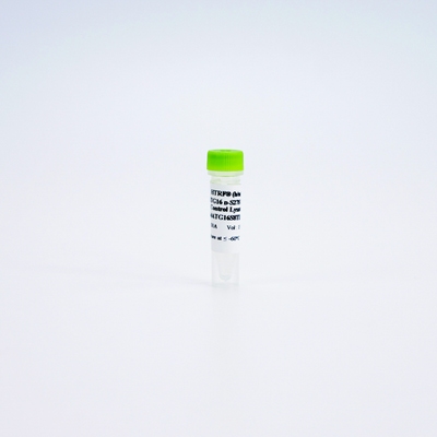 HTRF Human and Mouse Phospho-ATG16L1 Ser278 Detection Kit, Control Lysate