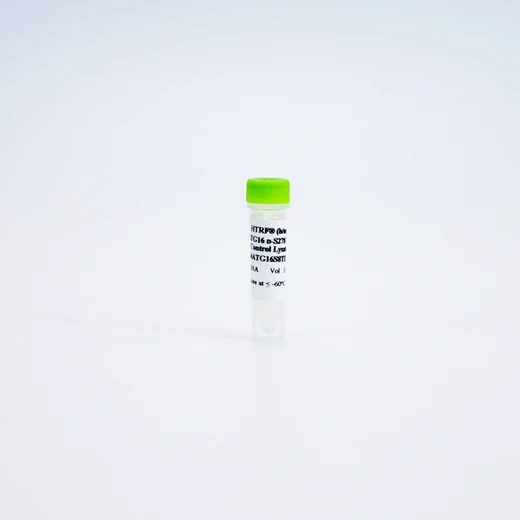 HTRF Human and Mouse Phospho-ATG16L1 Ser278 Detection Kit, Control Lysate