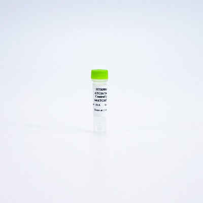 HTRF Human and Mouse Total ATG16L1 Detection Kit, Control Lysate