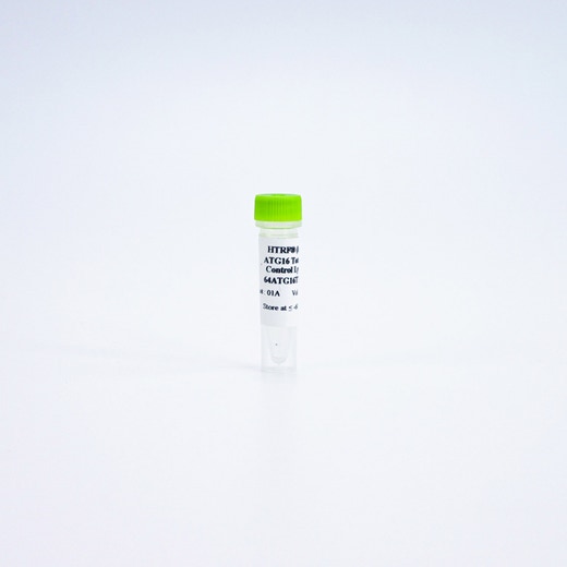 HTRF Human and Mouse Total ATG16L1 Detection Kit, Control Lysate