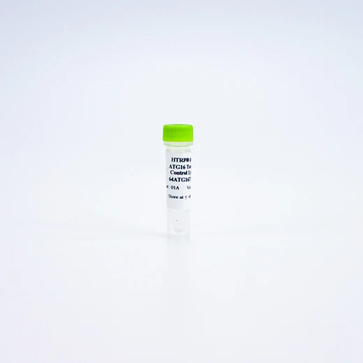 HTRF Human and Mouse Total ATG16L1 Detection Kit, Control Lysate