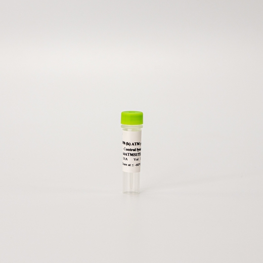 HTRF Human Phospho-ATM Ser1981 Detection Kit, Control Lysate