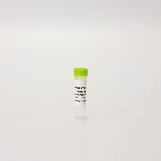 HTRF Human Phospho-ATM Ser1981 Detection Kit, Control Lysate