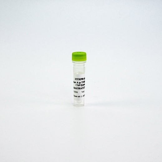 HTRF Human Phospho-Aurora A Thr288 Detection Kit, Control Lysate