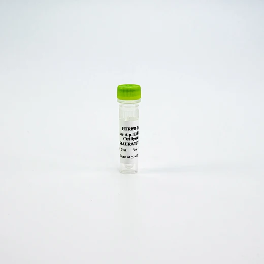 HTRF Human Phospho-Aurora A Thr288 Detection Kit, Control Lysate