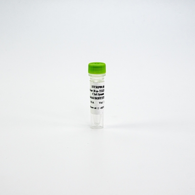 HTRF Human Phospho-Aurora B Thr232 Detection Kit, Control Lysate