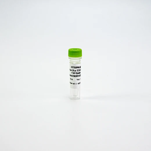 HTRF Human Phospho-Aurora B Thr232 Detection Kit, Control Lysate