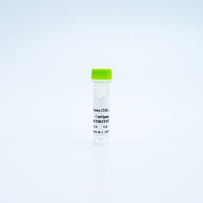 HTRF Human and Mouse Phospho-CDK1 Thr14 Detection Kit, Control Lysate