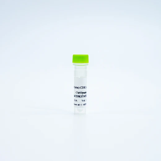 HTRF Human and Mouse Phospho-CDK1 Thr14 Detection Kit, Control Lysate