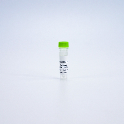 HTRF Human and Mouse Phospho-CDK1 Tyr15 Detection Kit, Control Lysate