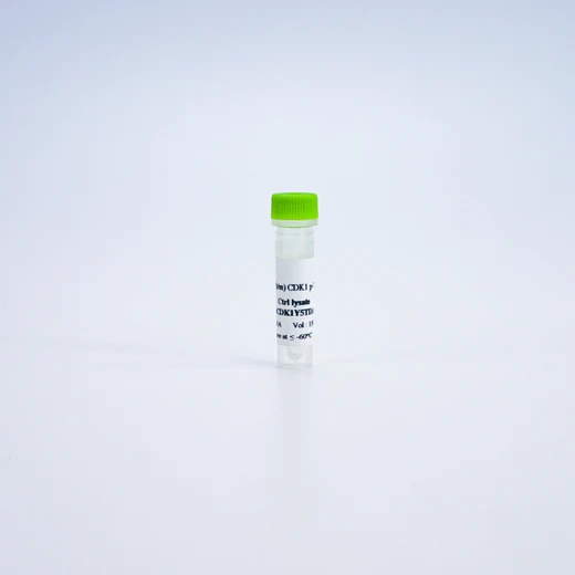 HTRF Human and Mouse Phospho-CDK1 Tyr15 Detection Kit, Control Lysate