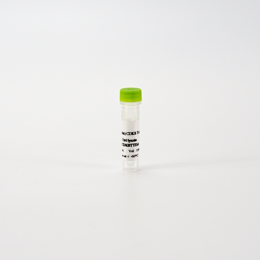 HTRF Human and Mouse Total CDK8 Detection Kit, Control Lysate