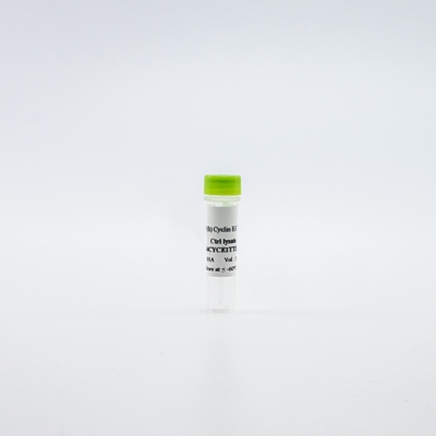 HTRF Total Cyclin E1 Detection Kit, Control Lysate