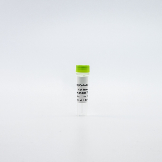 HTRF Total Cyclin E1 Detection Kit, Control Lysate