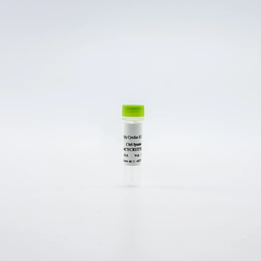 HTRF Total Cyclin E1 Detection Kit, Control Lysate