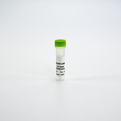 HTRF Human Total EGFR L858R Detection Kit, Control Lysate