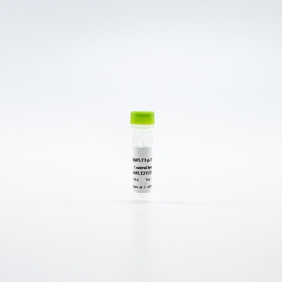 HTRF Human Phospho-FLT3 Tyr589/591 Detection Kit, Control Lysate