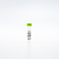 HTRF Human Phospho-FLT3 Tyr842 Detection Kit, Control Lysate