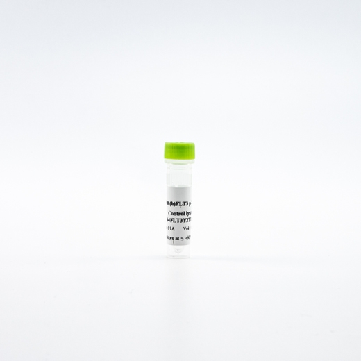 HTRF Human Phospho-FLT3 Tyr842 Detection Kit, Control Lysate