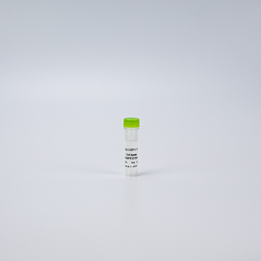 HTRF Human GSPT1 Detection Kit, Control Lysate