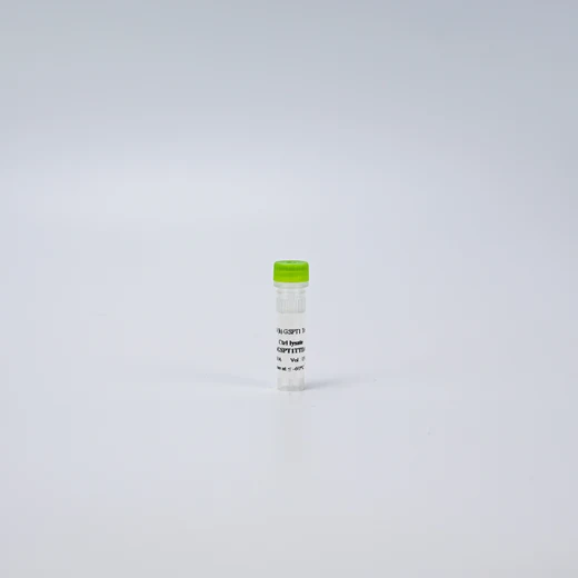 HTRF Human GSPT1 Detection Kit, Control Lysate