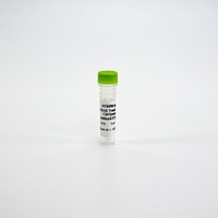 HTRF Human Total H2AX Detection Kit, Control Lysate