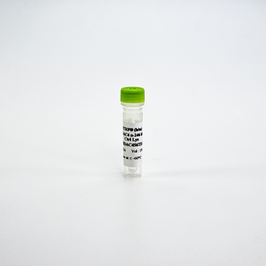 HTRF Human and Mouse Phospho-HDAC4 Ser246 Detection Kit, Control Lysate