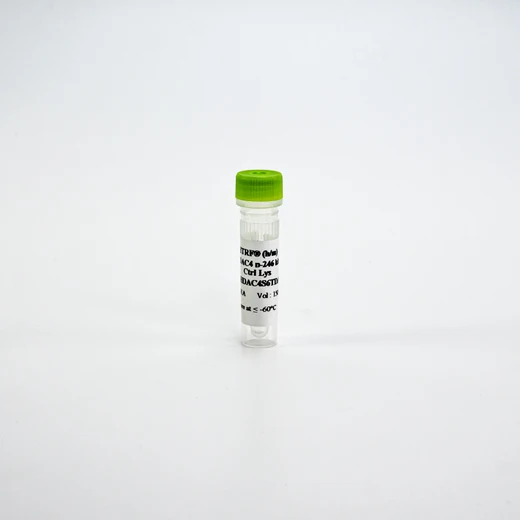 HTRF Human and Mouse Phospho-HDAC4 Ser246 Detection Kit, Control Lysate